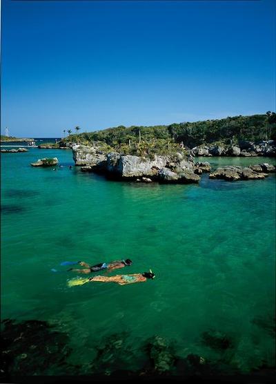 آلفت کانکون