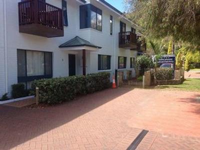 دلفین لج آلبانی