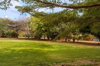 لوکنیا جتاو