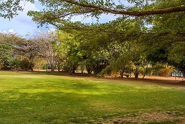 لوکنیا جتاو