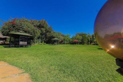 لوکنیا جتاو