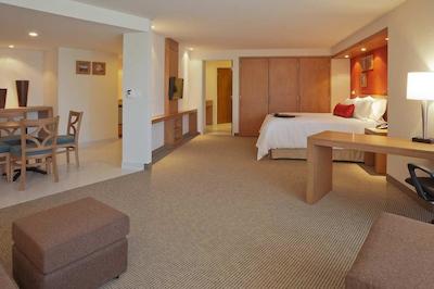 هامپتون این بای هیلتون گوادالاجارا/اکسپو