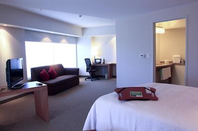 هامپتون این بای هیلتون گوادالاجارا/اکسپو