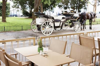 د گوسدوس وینا