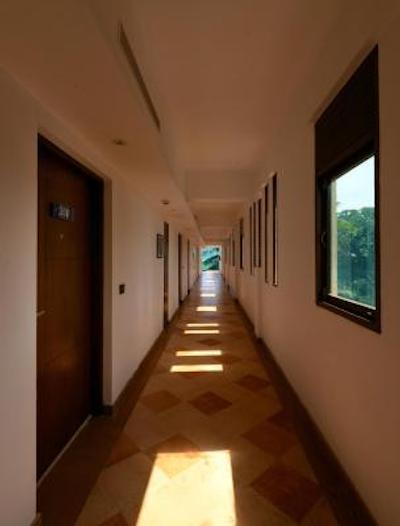 گلدن تولیپ گوا کاندولیم