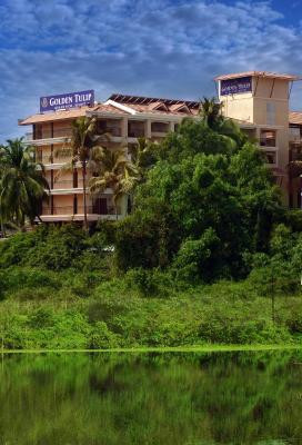 گلدن تولیپ گوا کاندولیم