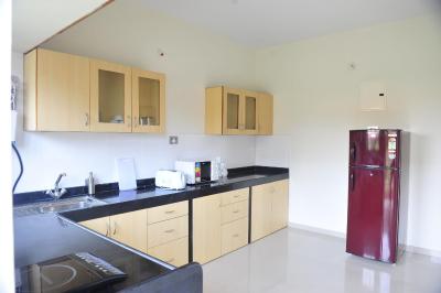 گلدن تولیپ گوا کاندولیم