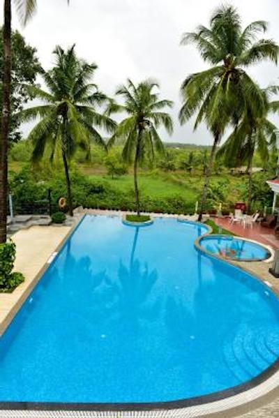 گلدن تولیپ گوا کاندولیم