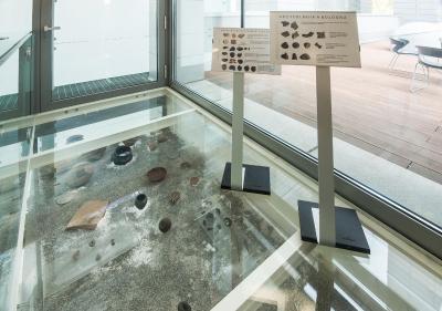 کمپلوز گوست بننیا