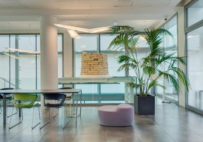 کمپلوز گوست بننیا