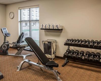 اسلیپ این اند سویتز بیسمارک