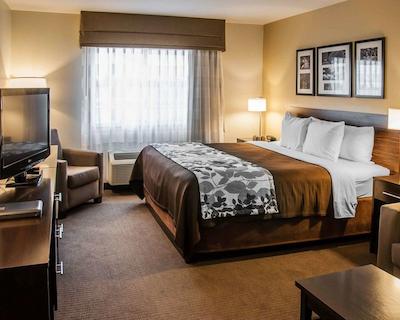 اسلیپ این اند سویتز بیسمارک