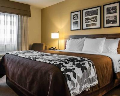 اسلیپ این اند سویتز بیسمارک