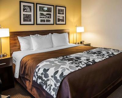 اسلیپ این اند سویتز بیسمارک