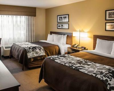 اسلیپ این اند سویتز بیسمارک