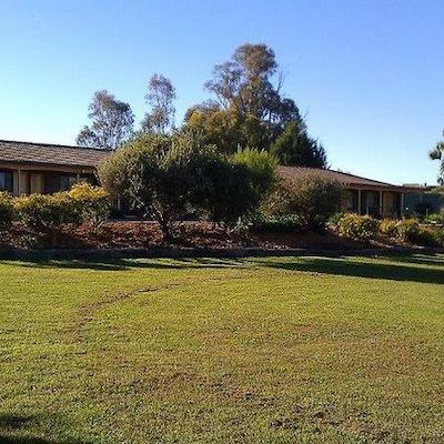 توموت والی متل