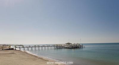 دلفین ایمپریال لارا