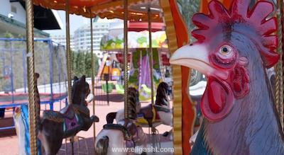 دلفین ایمپریال لارا