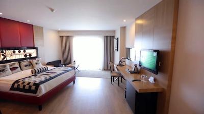 دلفین ایمپریال لارا