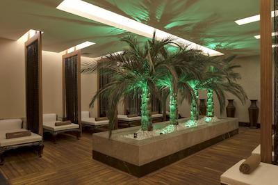 دلفین ایمپریال لارا