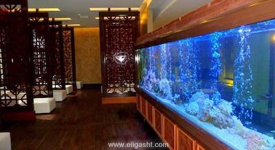 دلفین ایمپریال لارا