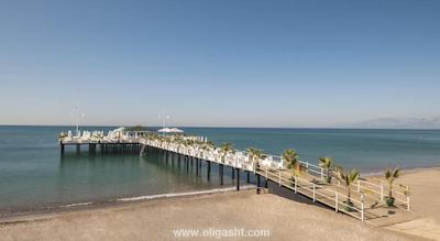 دلفین ایمپریال لارا