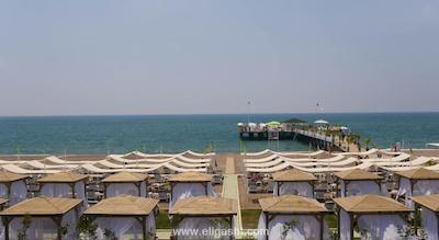 دلفین ایمپریال لارا