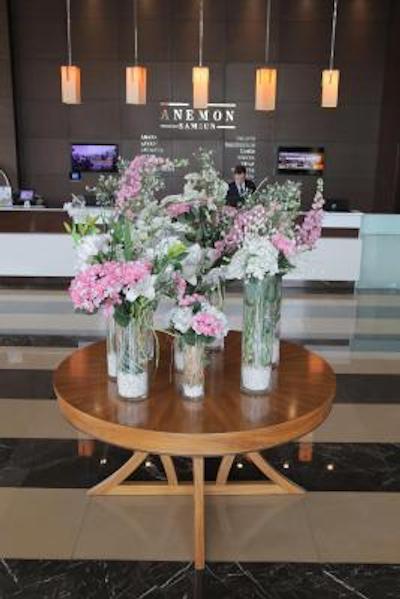 انمن سامسان