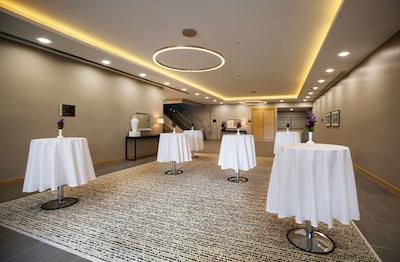 هیلتون گاردن این ارزینکان