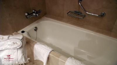 هتل بتانیکو اند د اُرینتال اسپا گاردن