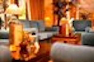 هتل بتانیکو اند د اُرینتال اسپا گاردن