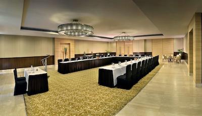 فور پوینتز بای شراتون نیو دهلی ایرپورت هایوی