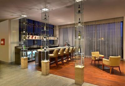 فور پوینتز بای شراتون نیو دهلی ایرپورت هایوی