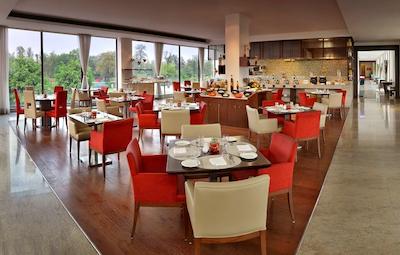 فور پوینتز بای شراتون نیو دهلی ایرپورت هایوی