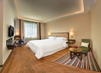 فور پوینتز بای شراتون نیو دهلی ایرپورت هایوی