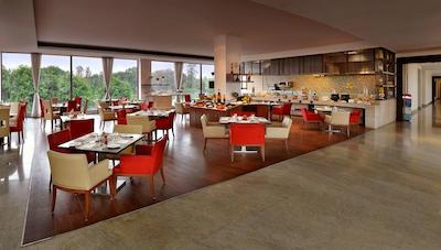 فور پوینتز بای شراتون نیو دهلی ایرپورت هایوی