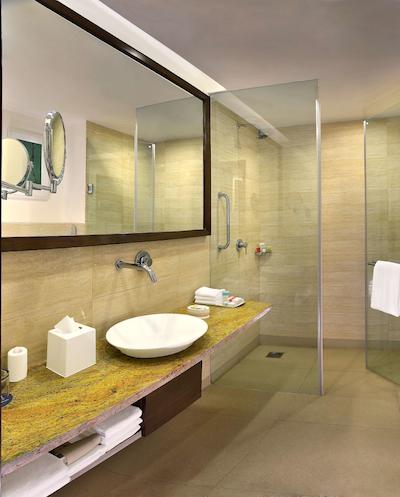 فور پوینتز بای شراتون نیو دهلی ایرپورت هایوی