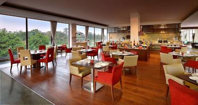 فور پوینتز بای شراتون نیو دهلی ایرپورت هایوی