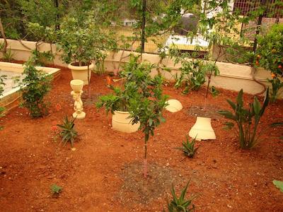 ماریا فلرا اپارتمنتز