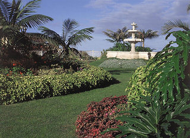 ال تپ