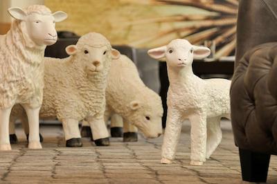 بست وسترن هتل لام