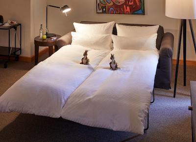 پارختل پفرزهیم