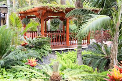 سانلایت باهیا پرینسیپ سان فلیپ