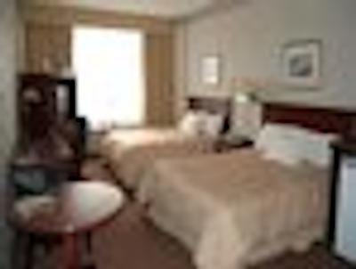 دز این اُتاوا