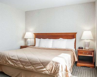 کمفرت ترنتو آیرپرت نرد