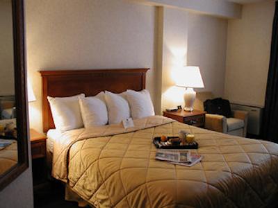 کمفرت ترنتو آیرپرت نرد