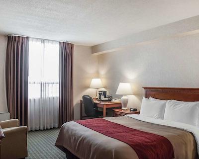 کمفرت ترنتو آیرپرت نرد