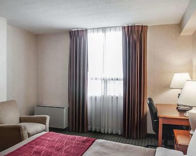 کمفرت ترنتو آیرپرت نرد