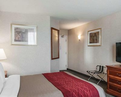 کمفرت ترنتو آیرپرت نرد