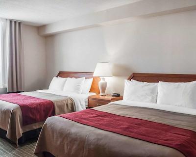 کمفرت ترنتو آیرپرت نرد